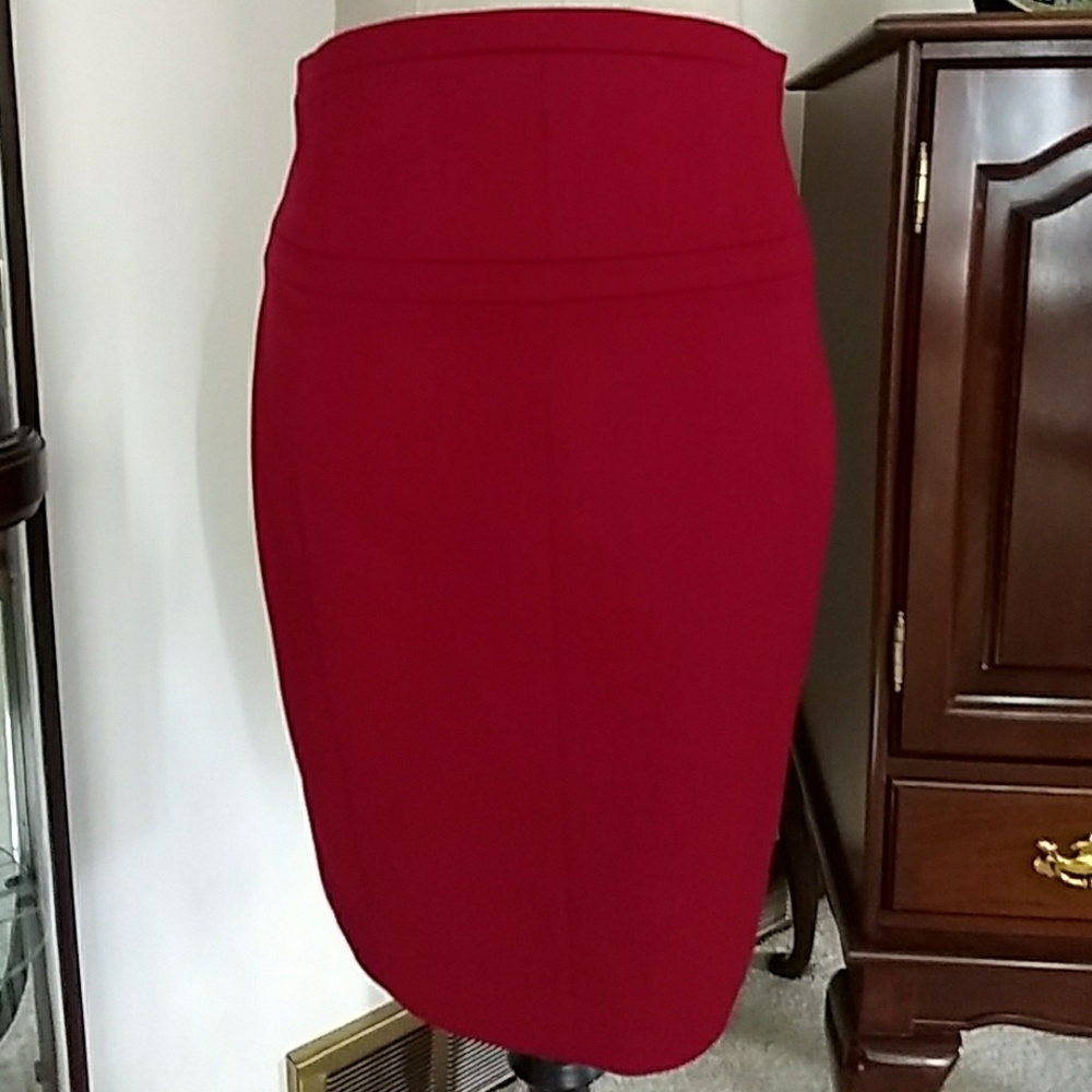 Express Skirt